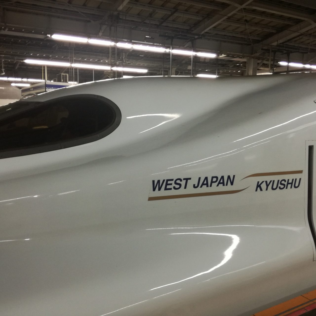 Po stopinjah Alme M. Karlin na Japonskem