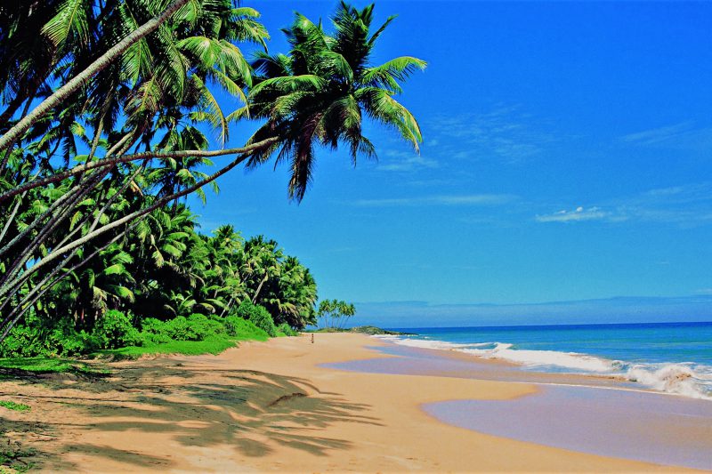 Poslastica Azije : Potovanje po južni Indiji - 19358