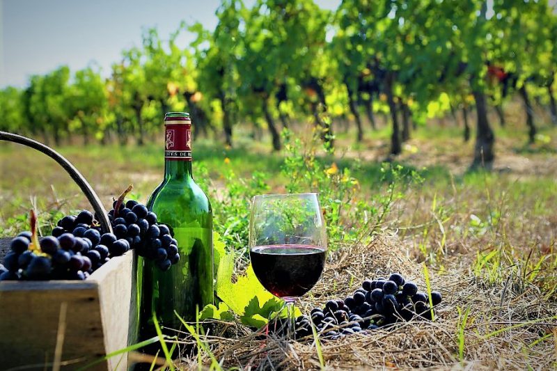 Potovanje po Gruziji in Armeniji