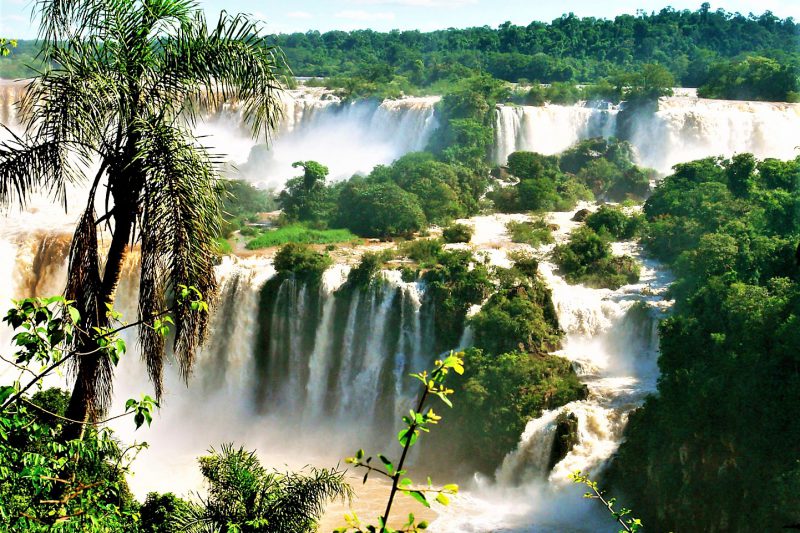 Potovanje po Braziliji: Sao Paulo, Amazonka, Iguassu, Rio - 19205