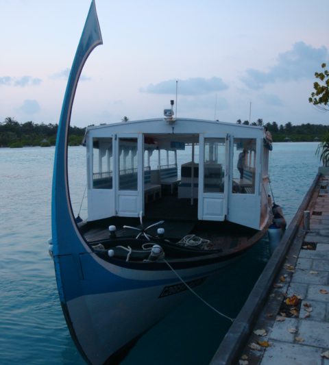 Šrilanka in rajski Maldivi - Eksotično potovanje