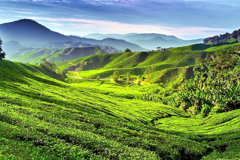 Potovanje po Maleziji